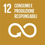logo sdg 12 consumo e produzione responsabili