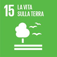 sdg 15 la vita sulla terra