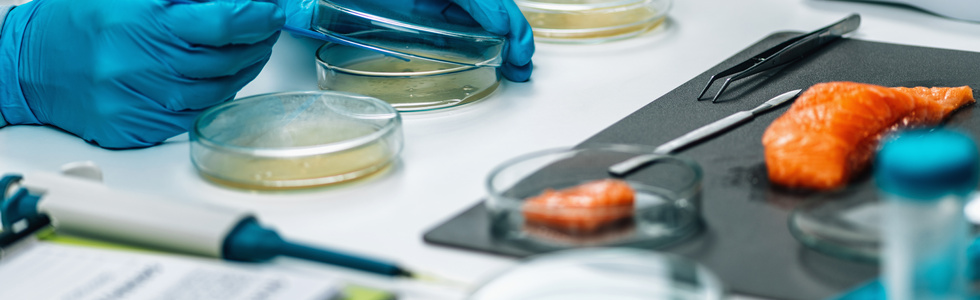 Allevamento, igiene, patologia delle specie acquatiche e controllo dei prodotti derivati 