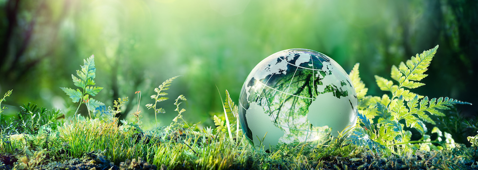 La gestione dei rifiuti speciali