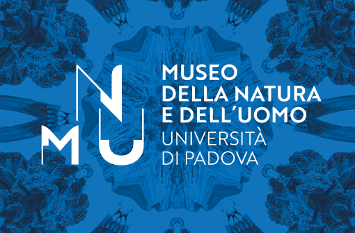 Museo della Natura e dell'Uomo - Università di Padova