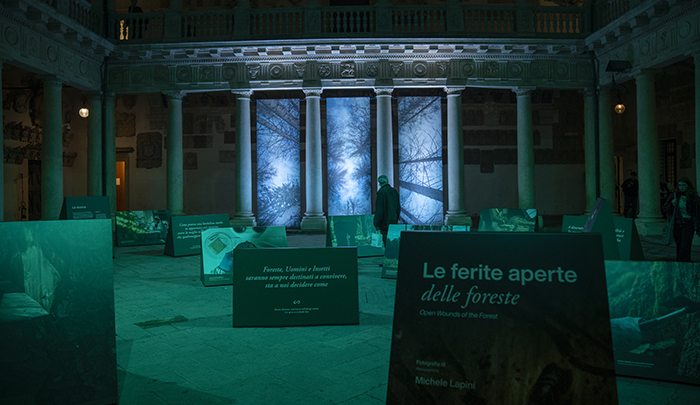 mostra foografica Le ferite aperte delle foreste