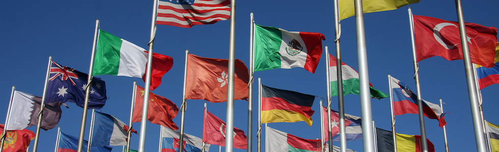 Summer e Winter School - Partners