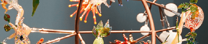 Installazione presso il Museo della Natura e dell'uomo