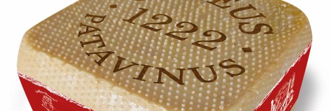 forma caseus patavinus