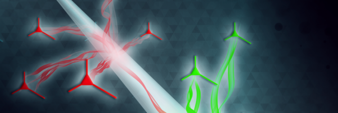 Antonio Balena, immagine rappresentativa della raccolta di impronta molecolare dal tessuto cerebrale