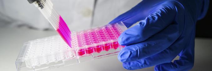 researcher with test tubes