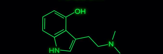 formula chimica della psilocina