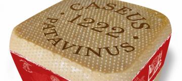 forma caseus patavinus