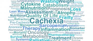 parole legate alla cachessia