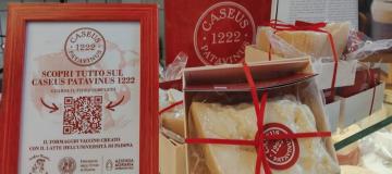 foto caseus in vendita